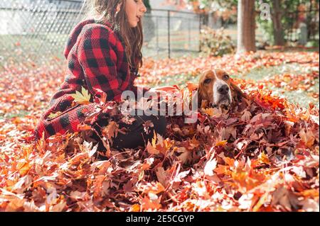 La ragazza teen si siede nel palo di foglia con il cane di cane di cane di cane di basset Hound il giorno di autunno in cortile Foto Stock