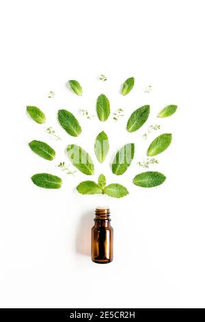Olio essenziale e foglie di menta verde su sfondo bianco. Erbe medicinali. Disposizione piatta. Vista dall'alto. Foto Stock