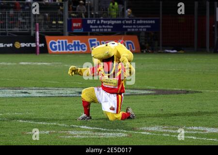 La mascotte ufficiale di Catalans Dragon durante la partita di rugby Engage Super League, Catalans Dragons vs Warrington Wolves allo stadio Gilbert Brutus di Perpignan, Francia, il 13 settembre 2008. Catalans Dragons ha vinto 46-8. Foto di Michel Clementz/Cameleon/ABACAPRESS.COM Foto Stock