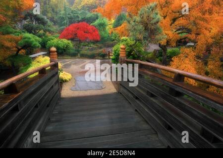 Colori autunnali brillanti tra gli alberi del Tsuru Island Japanese Garden a Gresham, Oregon. Foto Stock