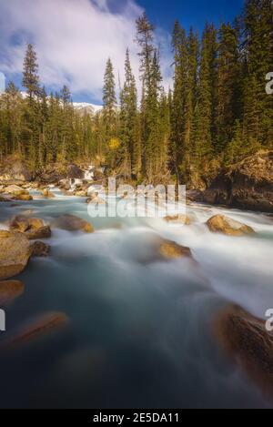 Fiume attraverso Yoho Valley, Yoho National Park, British Columbia, Canada Foto Stock