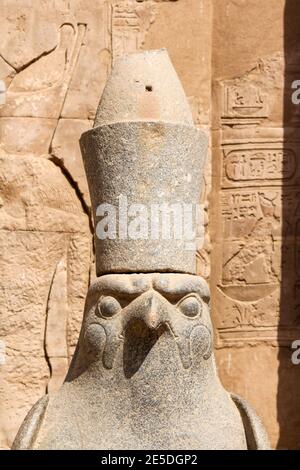 Ritratto del dio egiziano Horus, Edfu in Egitto Foto Stock
