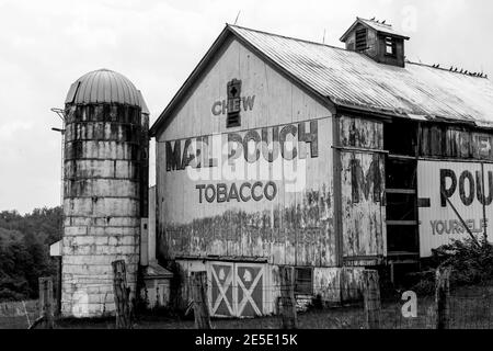 Sbiadita sacca posta annuncio di tabacco dipinta su un vecchio fienile in rural Ohio Foto Stock
