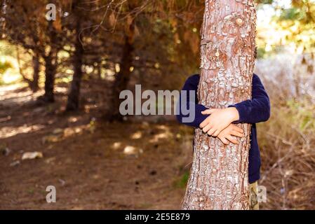 Dettaglio delle mani del bambino che abbracciano il tronco di un albero. Foto Stock