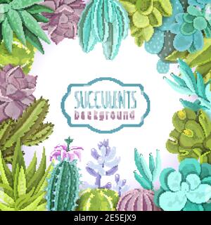 Succulents sfondo decorativo con diversi tipi di cactus vettore piatto illustrazione Illustrazione Vettoriale