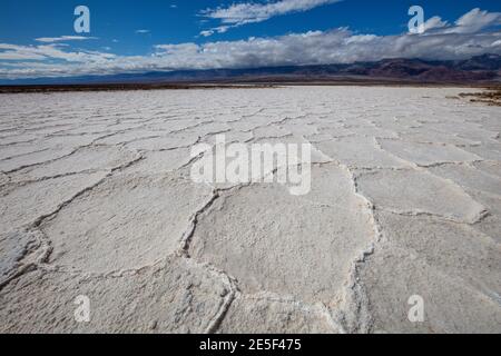 Modelli di poligono, bacino Badwater, Parco Nazionale della Valle della Morte, California Foto Stock