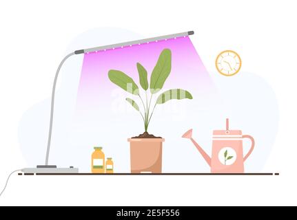 Luce di piantaggio. Piante da giardinaggio in crescita con luce viola. Prodotti vegetariani ed ecologici sotto lampada fitofarmosa. Illustrazione vettoriale in cartoon piano Illustrazione Vettoriale