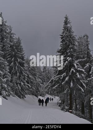 Vista ritratto delle persone che si godono l'attività di escursione invernale in bellissimo paesaggio di foresta innevata con alberi di conifere ghiacciati vicino a Schliffkopf. Foto Stock