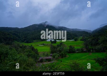 Terrazze di campi di riso nella stagione delle piogge a Mae Klang Luang, Chiangmai, Thailandia. Foto Stock
