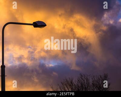 Nuvole illuminate dal sole invernale. In primo piano una lampada da strada e cime di alberi senza foglie Foto Stock