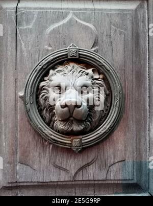 Vecchia porta anteriore con la testa di un leone. Foto di antica scultura di un leone sulla vecchia porta di legno. Foto Stock