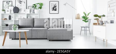 Verde pianta in vaso collocato su una sedia di legno in bianco appartamento studio interno con angolo salotto e poster Foto Stock