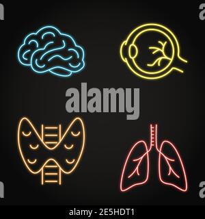 Icona al neon degli organi interni umani impostata in stile linea. Simboli di tiroide, bulbo oculare, cervello e polmoni. Illustrazione vettoriale. Illustrazione Vettoriale