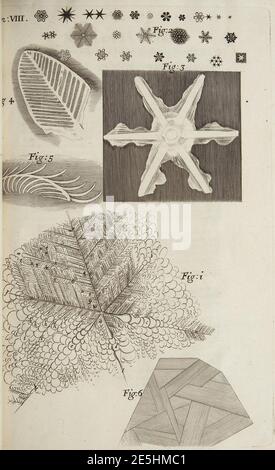 Micrografia Schem 8. Foto Stock
