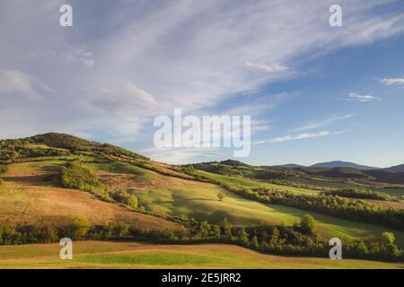 La luce dorata getta lunghe ombre contro il paesaggio rurale toscano vicino a Radicondoli, in provincia di Siena in Toscana. Foto Stock