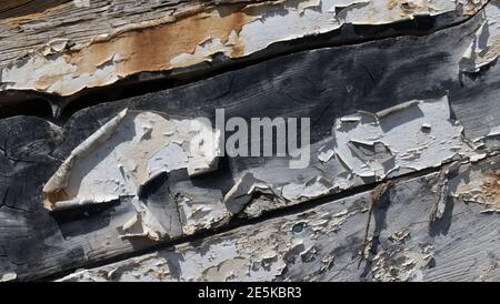 Peeling vernice su vecchie tavole di legno Foto Stock