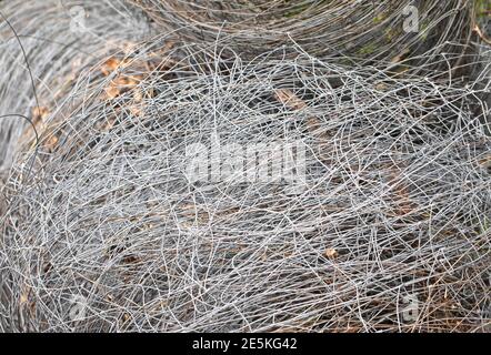 Recinzione di filo, rete di recinzione di foresta, grovigli di filo frantumato, bobine. Foto Stock