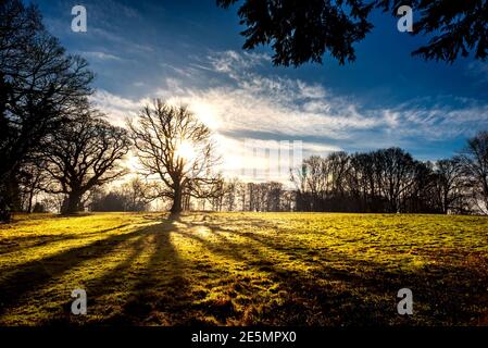 Brighton, 21 gennaio 2021: Paesaggi invernali e alberi vicino al villaggio di Blackboys nel Sussex orientale Foto Stock