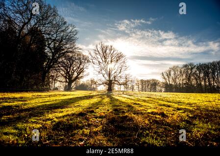 Brighton, 21 gennaio 2021: Paesaggi invernali e alberi vicino al villaggio di Blackboys nel Sussex orientale Foto Stock