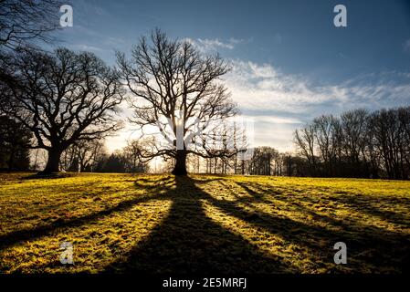 Brighton, 21 gennaio 2021: Paesaggi invernali e alberi vicino al villaggio di Blackboys nel Sussex orientale Foto Stock