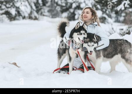 La ragazza corre su una slitta su una slitta con Husky siberiani nella foresta invernale. PET. Husky. Poster Husky, stampa Husky, Foto Stock