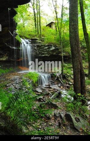Parco statale di Monte sano Foto Stock