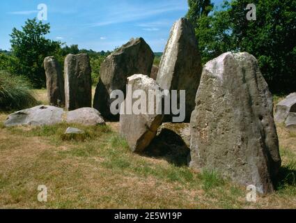 Vista SW del corvo lungo neolitico Chestnuts, Kent, Inghilterra, UK, che mostra la camera di sepoltura rettangolare fronteggiato da una facciata di 4 pietre in una fila. Foto Stock