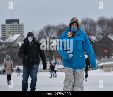 Ottawa, Canada. 28 gennaio 2021. L'uomo che pattina con il suo cane nella sua giacca, parte di centinaia di persone ha preso al ghiaccio oggi il giorno di apertura del canale Rideau Skgateway nella capitale canadese. Una sezione di 2.4km dello Skcatal, un sito patrimonio dell'umanità dell'UNESCO, è stata aperta oggi dal percorso di pattinaggio lungo 7.8km attraverso la città. A causa delle restrizioni Pandemic in corso, le strutture come chioschi alimentari e noleggio pattini saranno chiuse per la stagione di quest'anno. Credit: Meanderingemu/Alamy Live News Foto Stock