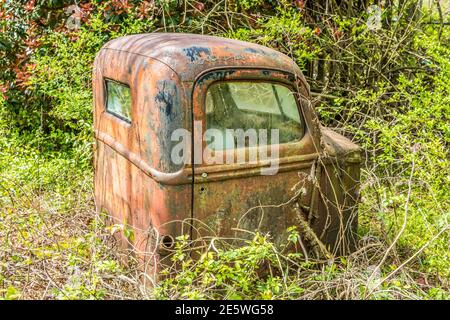 Vecchio camion d'epoca seduto nel bosco intatto con il solo la parte della cabina arrugginita e in decadimento è esposta a. tempo all'aperto circondato da erbacce Foto Stock