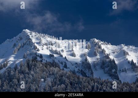 Cresta di montagna in inverno, con alberi di pino innevati. Foto Stock