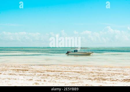 Piccola barca a motore sulle branche sulla spiaggia Foto Stock