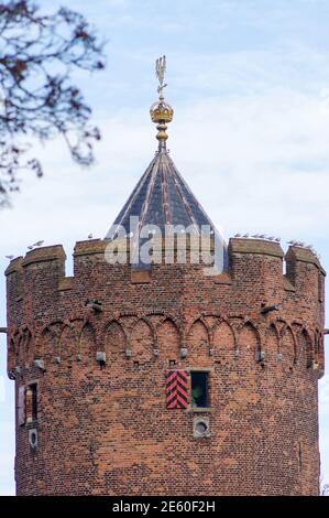 Primo piano della cima del Kruittoren a Nijmegen in Paesi Bassi Foto Stock