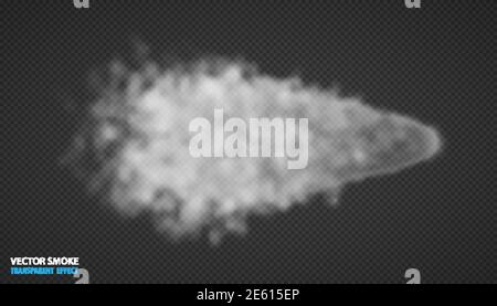 Fumo isolato su sfondo trasparente. Nebbia bianca effetto nebbia o smog. Illustrazione vettoriale Illustrazione Vettoriale