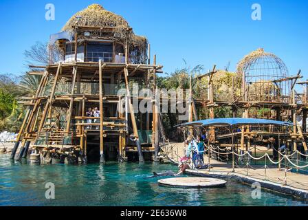 Punto panoramico e molo, Dolphin Reef, Eilat, Distretto Sud, Israele Foto Stock