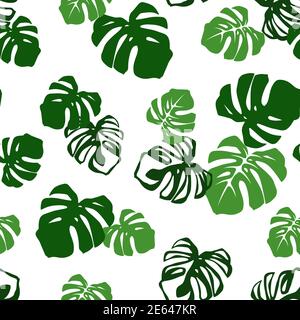 Modello vettoriale tropicale senza giunture con foglie di monstera verdi su bianco. Illustrazione Vettoriale
