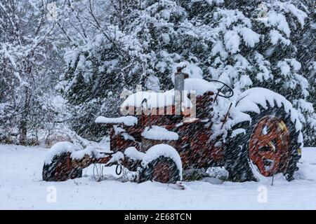 Trattore Case vecchio in un campo durante una tempesta di neve. Foto Stock