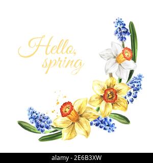 Cornice rotonda, corona, bouquet di primavera Narcissus e fiori Muscari, disegno a mano acquerello illustrazione isolato su sfondo bianco .tif Foto Stock