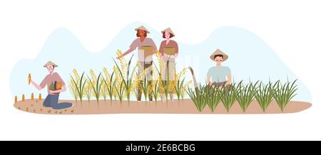 coltivatori che piantano su raccolto di fertilizzante di campo di riso con cartoon piano stile Illustrazione Vettoriale