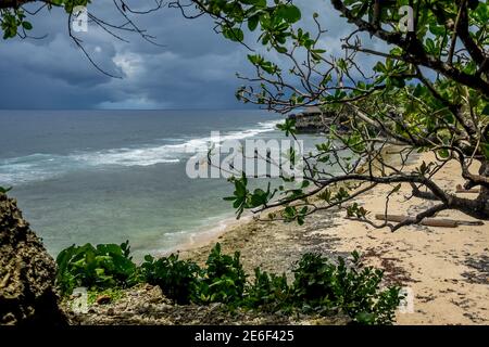 Siargao Island Himaya Beach, il miglior faro bianco e le incredibili palme Coconuts, Tigasao Village, San Isidro. Ottima acqua blu dell'oceano e sabbia bianca Foto Stock