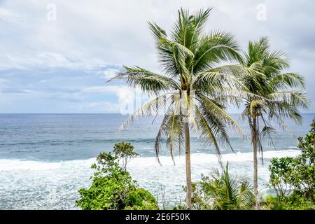 Siargao Island Himaya Beach, il miglior faro bianco e le incredibili palme Coconuts, Tigasao Village, San Isidro. Ottima acqua blu dell'oceano e sabbia bianca Foto Stock