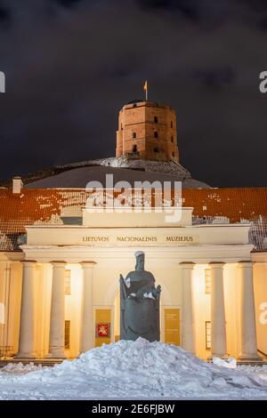 Museo Nazionale di Lituania e Gediminas statua e torre o castello in inverno con neve, verticale Foto Stock