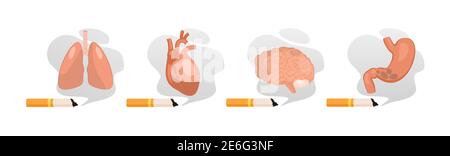 Danno da fumo. Abitudine malsana fumare e danno per gli organi, cancro dei polmoni, malattie cardiache, malattie del cervello e dello stomaco, sigaretta tossica Illustrazione Vettoriale