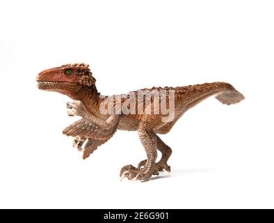 Giocattolo da dinosauro Velociraptor in piuma isolato su sfondo bianco Foto Stock