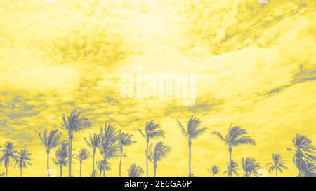 Silhouette tropicale palma con cielo con nuvole sullo sfondo. Vacanza estiva e concetto di avventura di viaggio nella natura. Visualizzazione dei colori trendy di Foto Stock