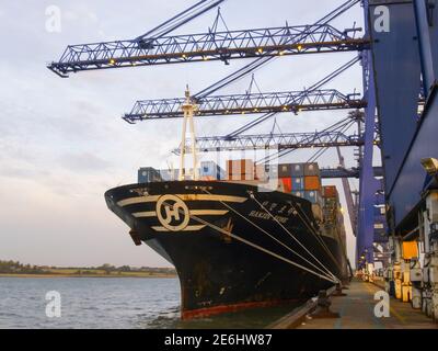 Nave del contenitore ai moli di Felixstowe in attesa di essere caricata da una gru Foto Stock