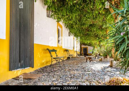 Cortile verde di una ricca casa tradizionale collegata all'industria del vino ad Alentejo, Portogallo Foto Stock