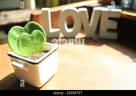 love letterpress con il cuore affilato cactus vaso pianta Foto Stock