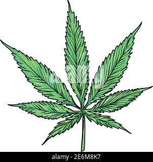 marijuana disegnata a mano isolata su sfondo bianco Illustrazione Vettoriale