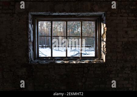 Visualizza dalla finestra. Vista dalla finestra alla foresta in inverno. Cornice finestra a scacchi. Foresta invernale. Foto Stock