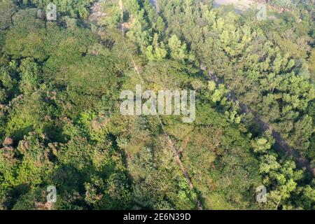 Bagerhat, Bangladesh - 21 gennaio 2021: Vista aerea della foresta di mangrovie Sundarban, un sito patrimonio dell'umanità dell'UNESCO e un santuario della fauna selvatica a Chandp Foto Stock